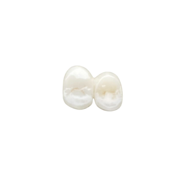 B1 Zirconia Crowns