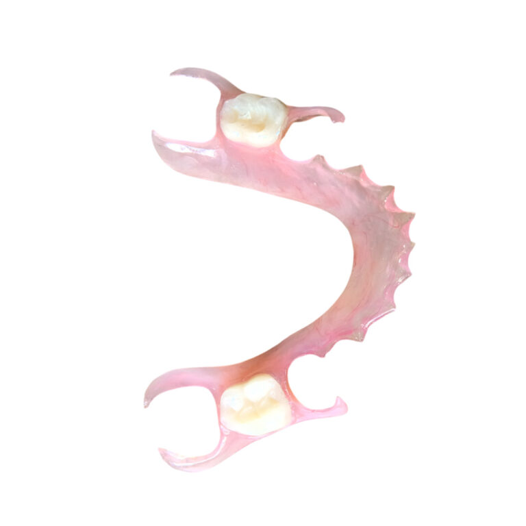 Flexible Denture Two Teeth
