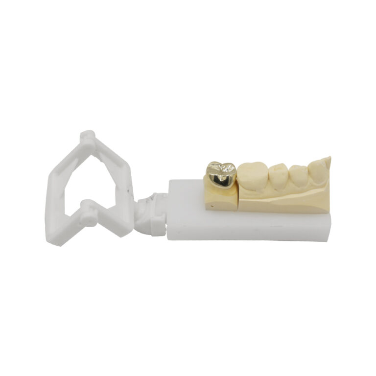 PFM Crown Metal Occlusal