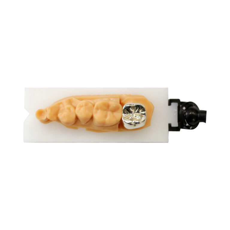 PFM Crown Metal Occlusal