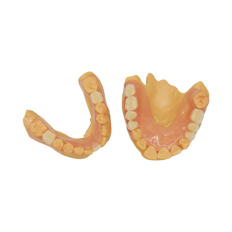 Upper and Lower Valplast Partial