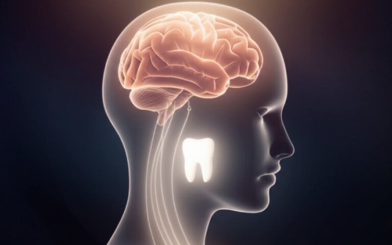 Abstract head showing mind-tooth connection