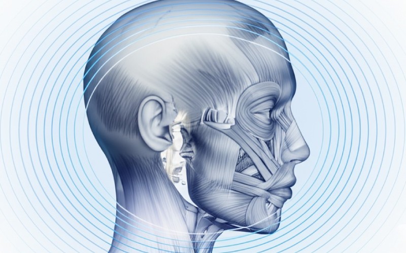 Abstract image of jaw muscle harmony