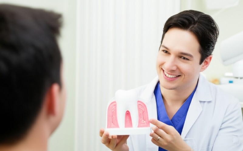 Dentist explaining a dental issue using a model