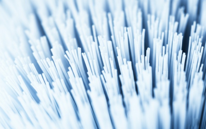 Macro view of soft spiral bristles