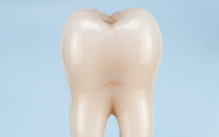 A clean, restored molar tooth