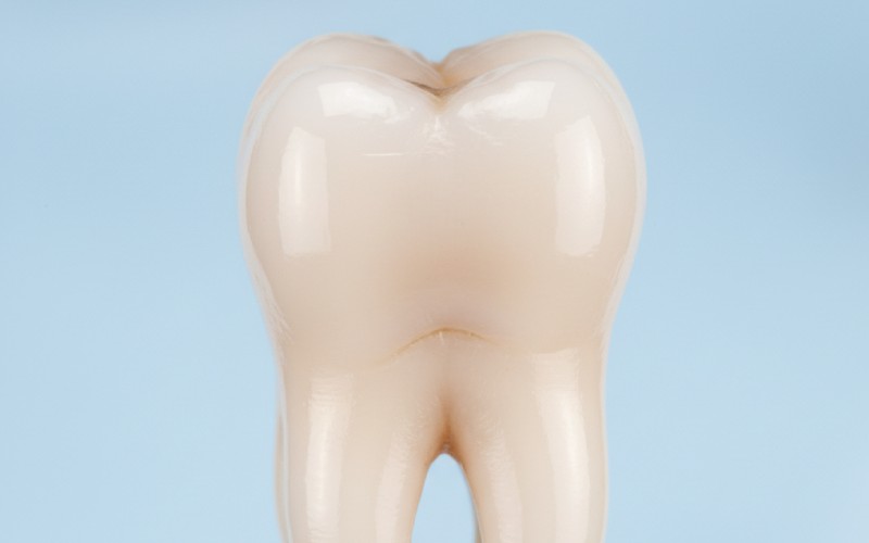A clean, restored molar tooth