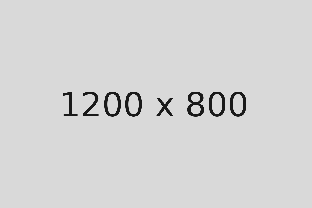 Placeholder 1200 x 800