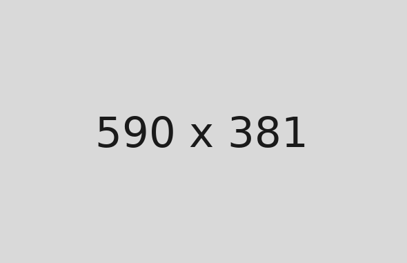 Placeholder 590 x 381