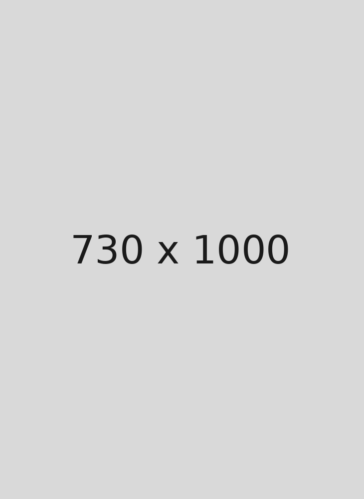 Placeholder 730 x 1000